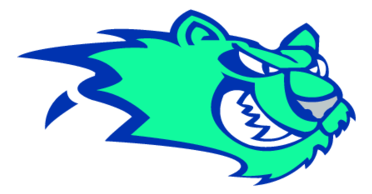 Worcester Icecats