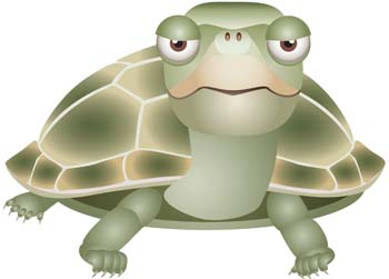 Turtle 5