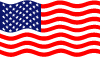 Usa Vector Flag