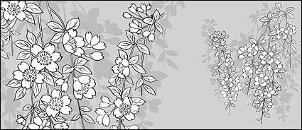 Vector line drawing of flowers-43(Sakura)