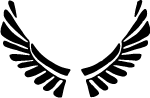 Wings Vector Image