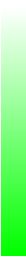 Ws Gradient Lime